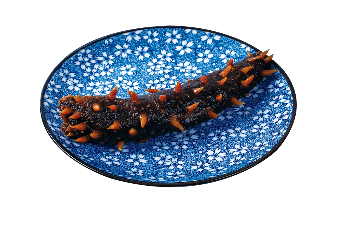 Kings Sea Cucumbers of Canada Kings Sea Cucumber